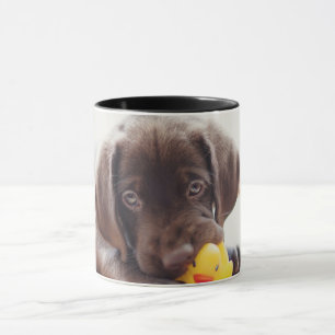 Schokolade-Labrador-Welpe mit Spielzeugente Tasse