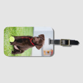 Schokolade-Labrador-Welpe mit Tennisball Gepäckanhänger (Vorderseite (Horizontal))