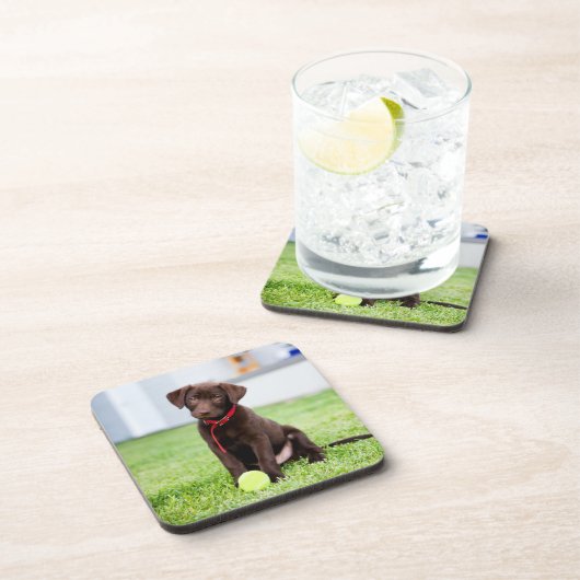 Schokolade-Labrador-Welpe mit Tennisball Getränkeuntersetzer (Rechte Seite)