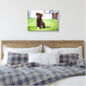 Schokolade-Labrador-Welpe mit Tennisball Leinwanddruck (Insitu (Schlafzimmer))