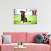 Schokolade-Labrador-Welpe mit Tennisball Leinwanddruck (Insitu (Wohnzimmer))