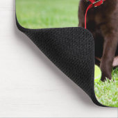 Schokolade-Labrador-Welpe mit Tennisball Mousepad (Ecke)