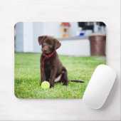 Schokolade-Labrador-Welpe mit Tennisball Mousepad (Mit Mouse)