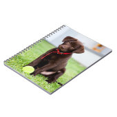 Schokolade-Labrador-Welpe mit Tennisball Notizblock (Linke Seite)