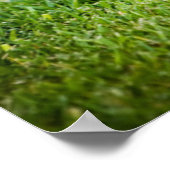 Schokolade-Labrador-Welpe mit Tennisball Poster (Ecke)