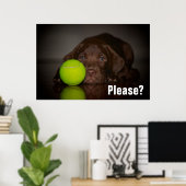 Schokolade-Labrador-Welpe mit Tennisball Poster (Heimbüro)