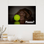 Schokolade-Labrador-Welpe mit Tennisball Poster (Küche)