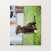 Schokolade-Labrador-Welpe mit Tennisball Puzzle (Vertikal)