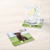 Schokolade-Labrador-Welpe mit Tennisball Rechteckiger Pappuntersetzer (Vor Ort)