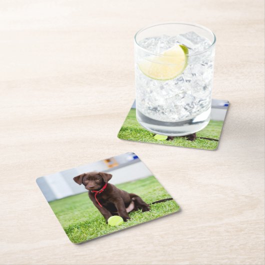 Schokolade-Labrador-Welpe mit Tennisball Rechteckiger Pappuntersetzer (Vor Ort)