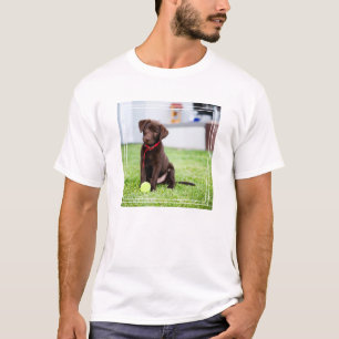 Schokolade-Labrador-Welpe mit Tennisball T-Shirt