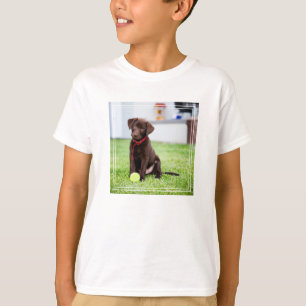 Schokolade-Labrador-Welpe mit Tennisball T-Shirt