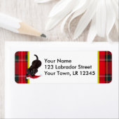 Schokolade Labrador Welpe mit Weihnachtsmannmütze  (Insitu)