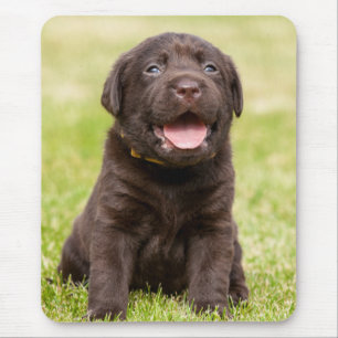Schokolade Labrador Welpe Mousepad
