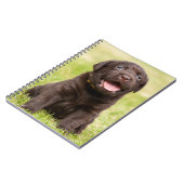 Schokolade Labrador Welpe Notizblock (Linke Seite)