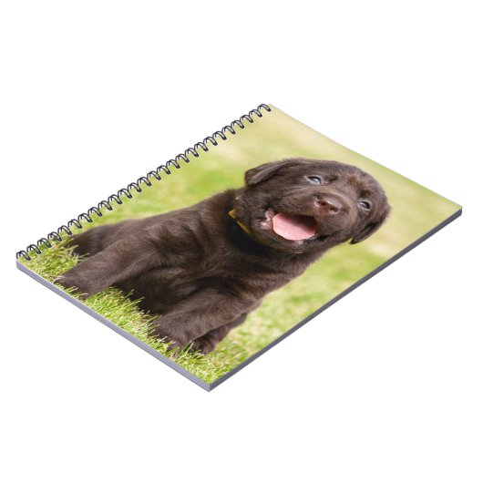 Schokolade Labrador Welpe Notizblock (Linke Seite)