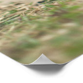 Schokolade Labrador Welpe Poster (Ecke)