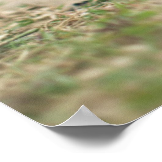 Schokolade Labrador Welpe Poster (Ecke)