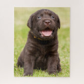 Schokolade Labrador Welpe Puzzle (Vertikal)