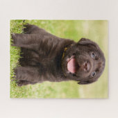 Schokolade Labrador Welpe Puzzle (Horizontal)