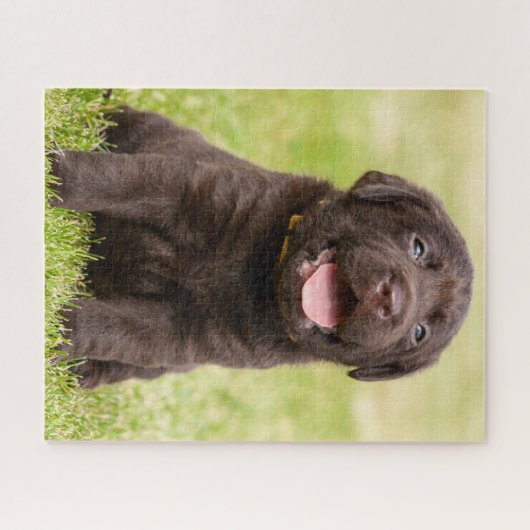 Schokolade Labrador Welpe Puzzle (Horizontal)