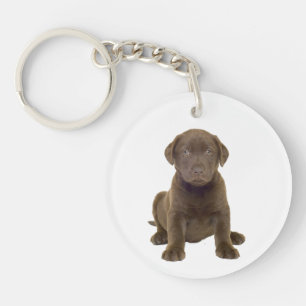 Schokolade Labrador Welpe Schlüsselanhänger