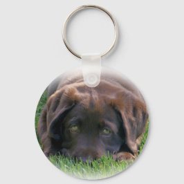 Schokolade Labrador Welpe Schlüsselanhänger