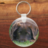 Schokolade Labrador Welpe Schlüsselanhänger (Vorderseite)