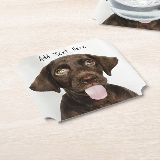 Schokolade Labrador Welpe Untersetzer (angewinkelt)