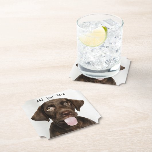 Schokolade Labrador Welpe Untersetzer (Vor Ort)