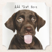 Schokolade Labrador Welpe