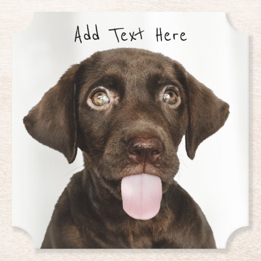 Schokolade Labrador Welpe Untersetzer (Vorderseite)