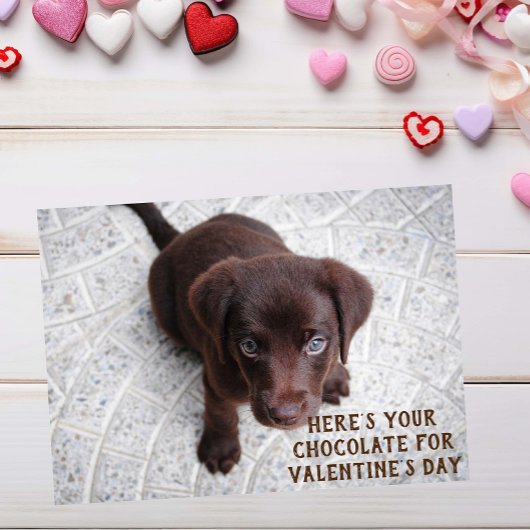 Schokolade Labrador Welpe Valentine's Day Meme Car