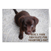 Schokolade Labrador Welpe Valentine's Day Meme Car (Vorderseite (Horizontal))