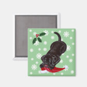 Schokolade Labrador Welpe & Weihnachtsmannmütze We Magnet (Vorderseite/Rückseite)