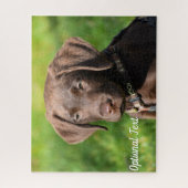 Schokolade Labrador Welpenhund Puzzle (Vertikal)