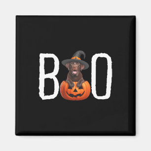 Schokolade Labrador Welppy Pumpkin Boo Hexenhundha Magnet