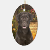 Schokolade Labrador Xmas Ornament (Links)