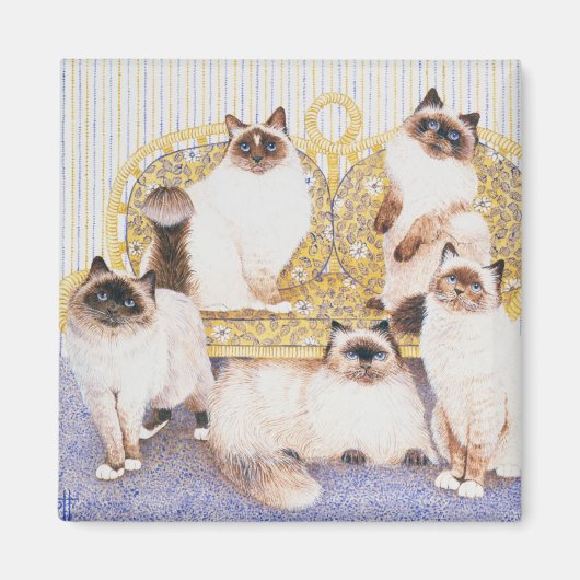 Schokolade Magnet (Vorne)