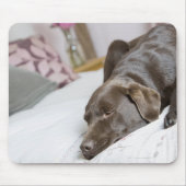 Schokolade Mousepad (Vorne)
