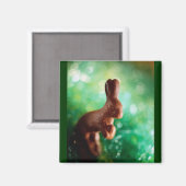 Schokolade Ostersonne Magnet (Vorderseite/Rückseite)