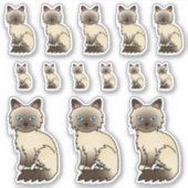Schokolade Point Birman / Ragdoll Niedlich Aufkleber (Vorderseite)