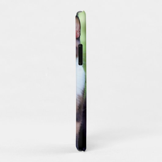 Schokolade, Siamkatze Case-Mate iPhone Hülle (Hinten/Rechts)