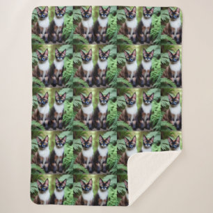 Schokolade Siamkatze Twins, Lge Sherpa Blanket Sherpadecke