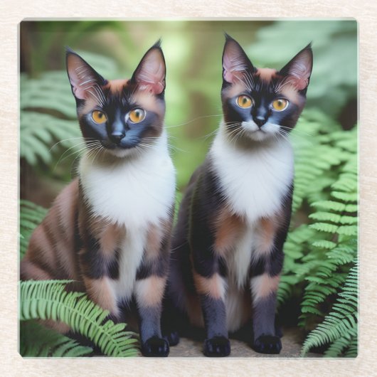 Schokolade Siamkatze Twins, Untersetzer (Vorderseite)
