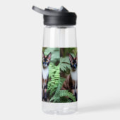 Schokolade-Siamkatzen Trinkflasche (Rechts)