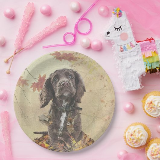 Schokolade-Spaniel-Welpe Pappteller (Party)