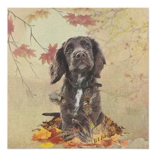 Schokolade-Spaniel-Welpe Poster (Vorderseite)