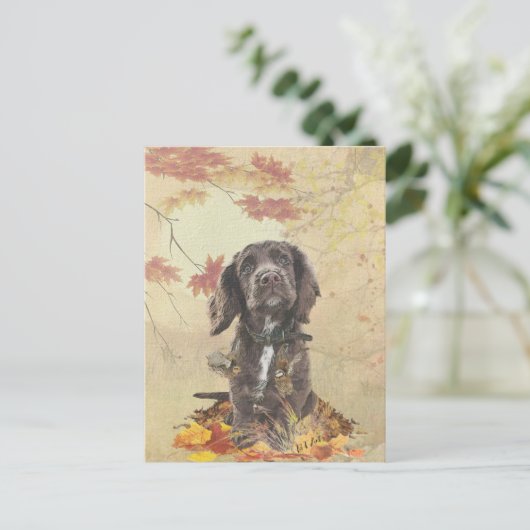 Schokolade-Spaniel-Welpe Postkarte (Stehend Vorderseite)