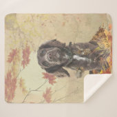 Schokolade-Spaniel-Welpe Sherpadecke (Vorderseite (Horizontal))